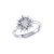 Supernova Star Diamond Ring in Sterling Silver - Silver