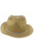Gold Fedora With Silver Band Hat - Gold