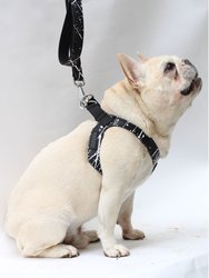 The 'little (F)artist' Pet Harness