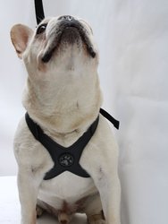 The 'Magnus Signature' Pet Patented Harness