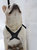 The 'Magnus Signature' Pet Patented Harness