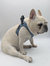 The 'Ruff Luxe' Pet Harness