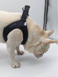 The 'Ruff Luxe' Pet Harness