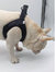 The 'Ruff Luxe' Pet Harness