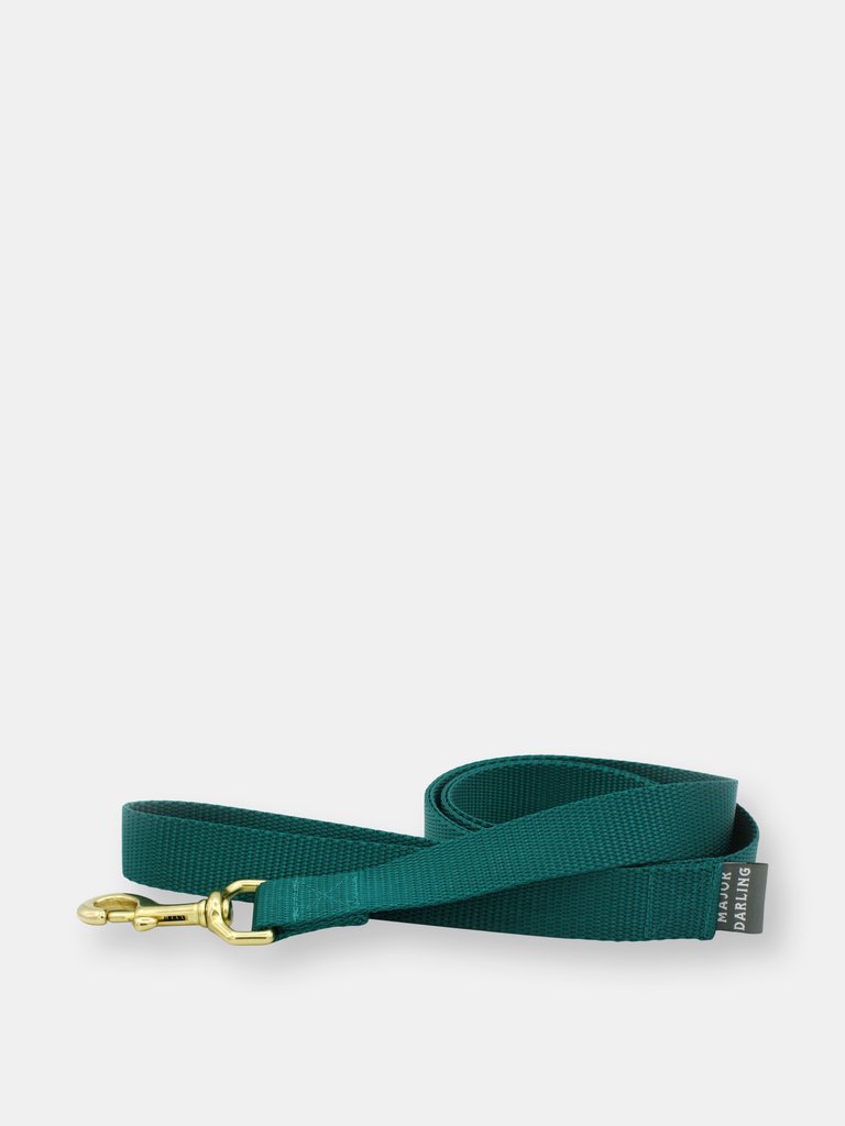 Basic leash - Teal