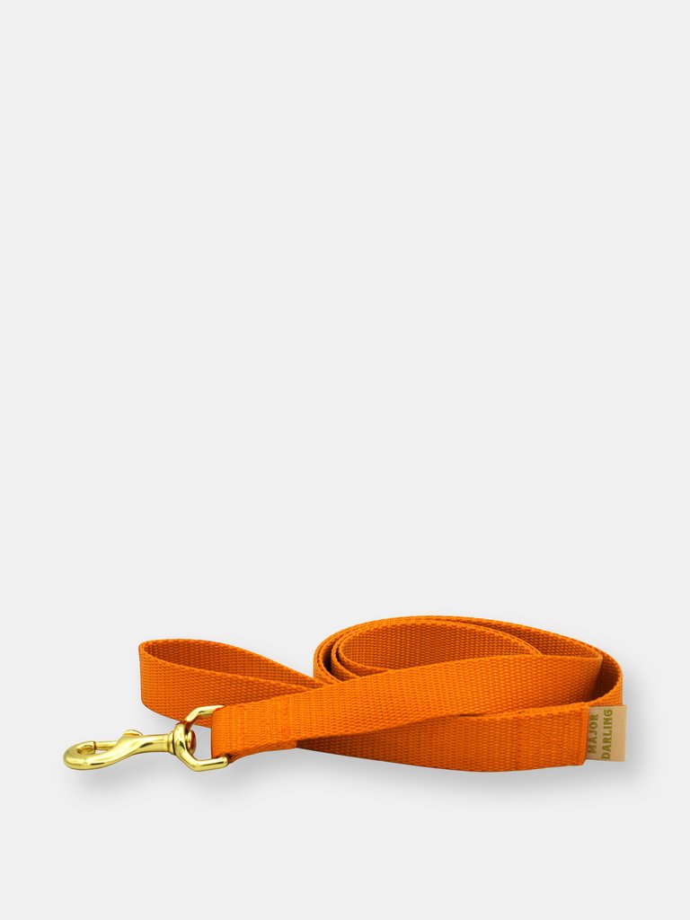Basic leash - Orange