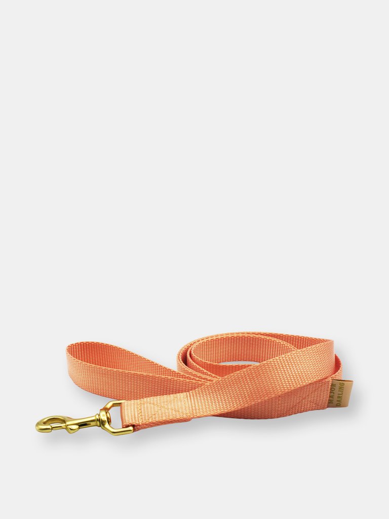 Basic leash - Peach