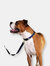 Martingale collar