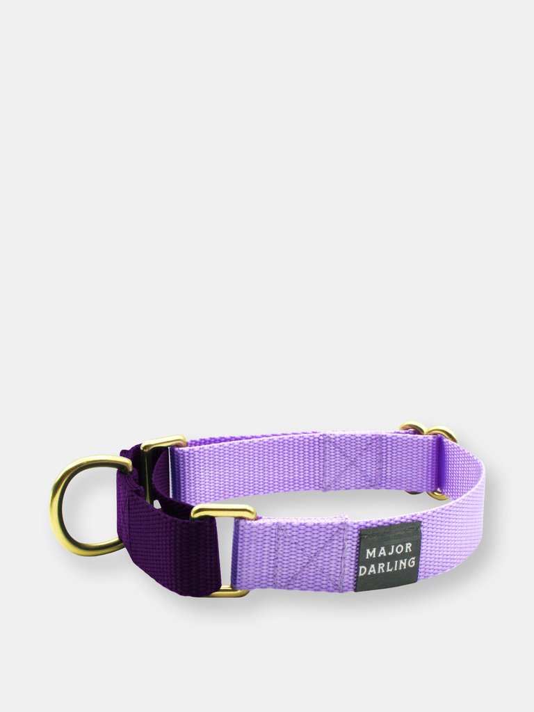 Martingale collar - Lilac-violet