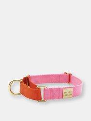 Martingale collar - Pink-orange