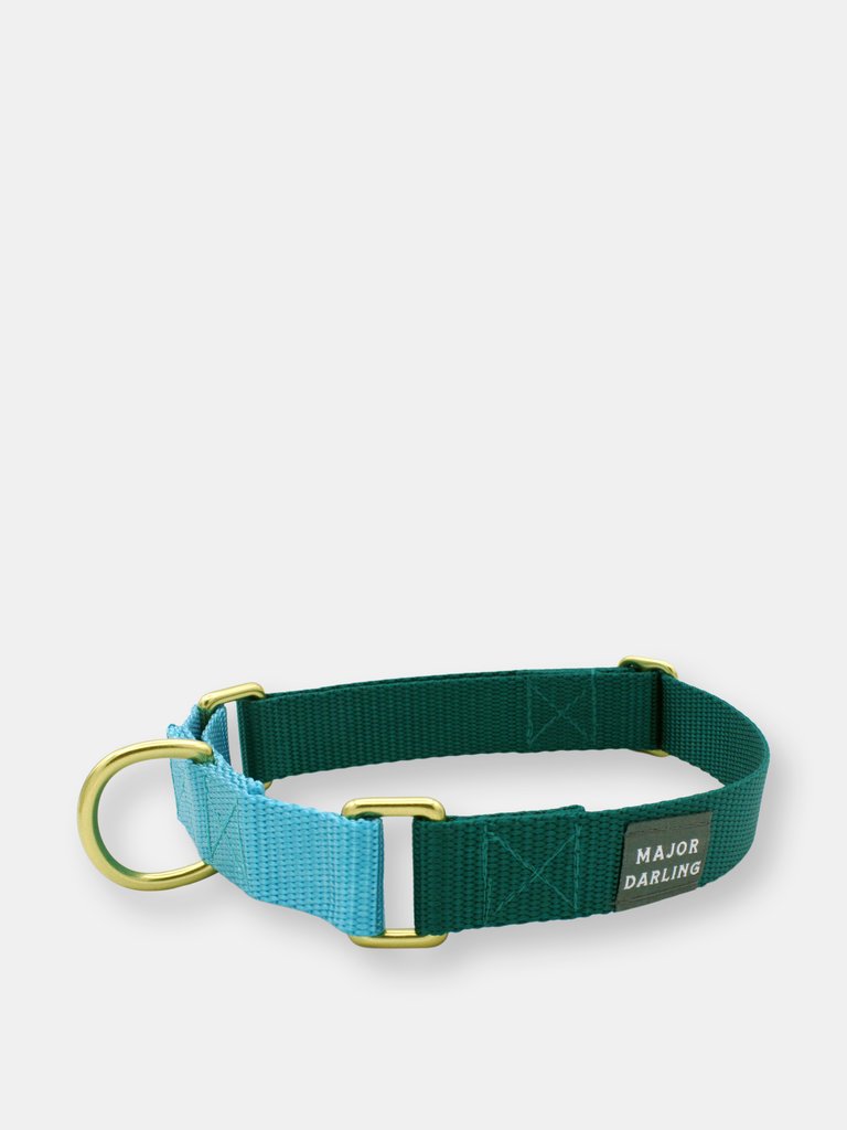 Martingale collar - Teal-bluebell