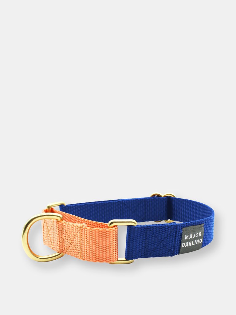 Martingale collar - Cobalt-peach