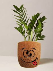 Crazy Face Plant Vase- Affordable And Fun
