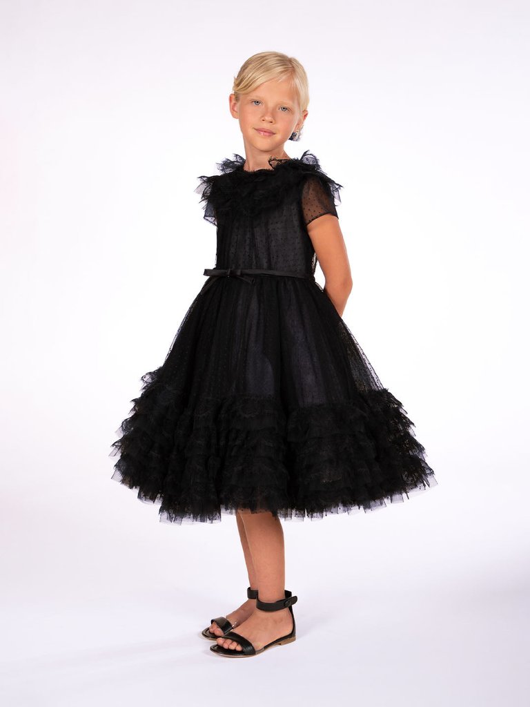 Trimmed Plumetis-Tulle Gown - Black