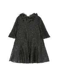 Volant-Embroidered Lace Dress - Black - Black