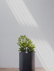 Larger, Deep Indigo Self-Watering Planter