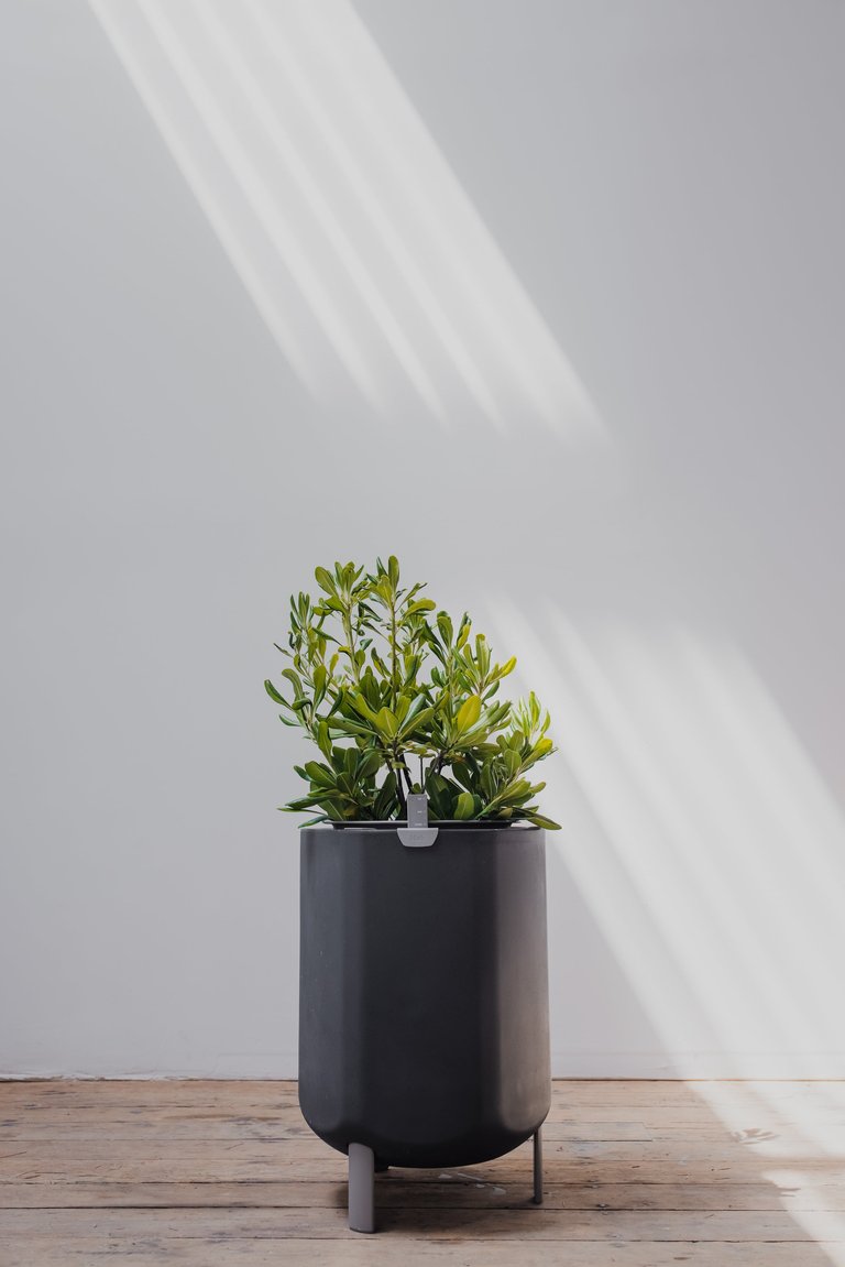 Larger, Deep Indigo Self-Watering Planter