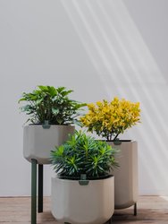 The Marly Self Watering Planter - Stone White