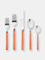 Place Set 5 Pcs Fantasia Carrot