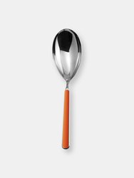 Risotto Spoon Fantasia Carrot