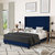 Sana Modern Navy Velvet Upholstered Platform Bed Frame With Padded, Tufted Wingback Headboard And Wood Support Slats, No Box Spring Required