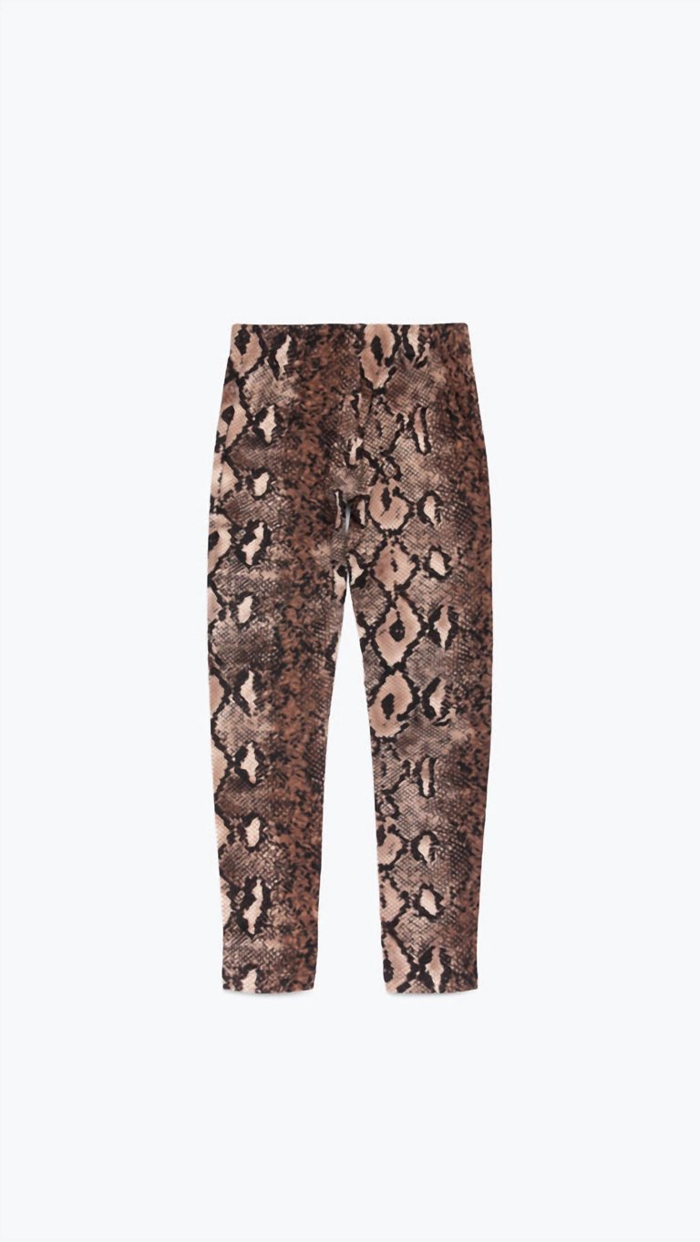 Snake Legging In Brown