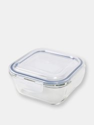 Michael Graves Design 27 Ounce High Borosilicate Glass Square Food Storage Container with Indigo Rubber Seal