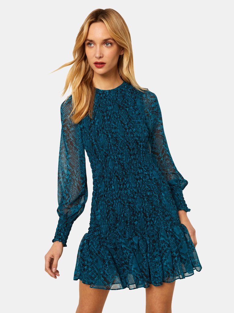 Roisin Chiffon Long Sleeve Mini Dress 