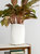 Agate Planter - White