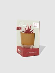 Desert Oasis Aloe Glow & Grow Kit - Tan