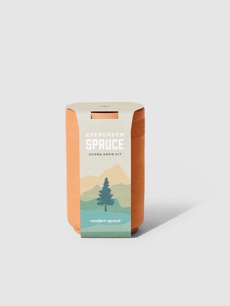 Evergreen Spruce Terracotta Grow Kit - Terracotta
