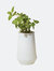 Mint Indoor Garden Kit