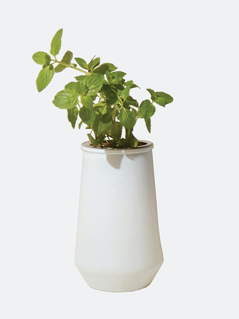 Mint Indoor Garden Kit