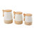 Stoneware Canister Set In White/Natural - White/Natural