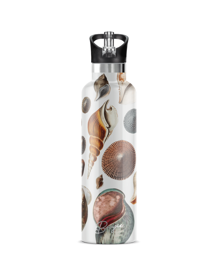 Conchas Maris Stainless Steel Double Wall Insulated 25oz./750mL Water Bottle - White/Brown