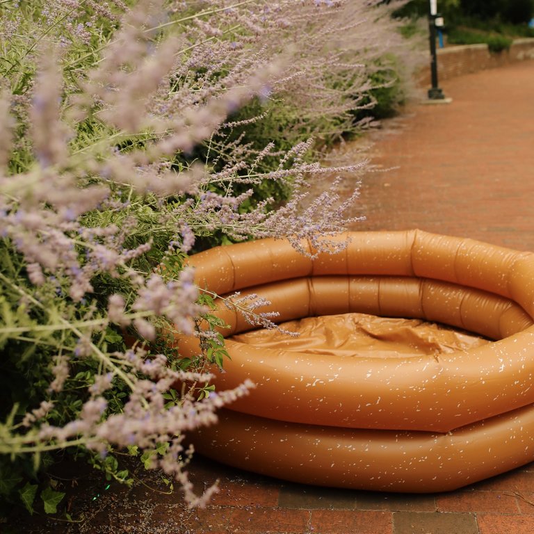 Earth Inflatable Swimming Pool