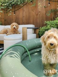 Green Inflatable Swimming Pool