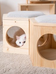 BusyCat-Chair Plate: Cat Friendly Furniture, Cat Scratcher
