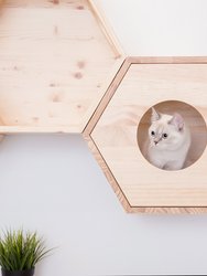 BusyCat-Cover Plate: Wall Mounted Cat Shelves