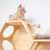  BusyCat Wall Mounted Cat Bed - Pine