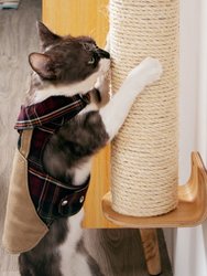 Cylinder Replacement, Accessories: Extend Cat scratcher, Scratching Post To Two Times Length
