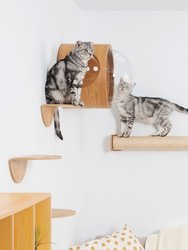 Cylinder: Wall Mounted Using & Floor Using Cat Scratcher, Scratching Post