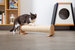 Cylinder: Wall Mounted Using & Floor Using Cat Scratcher, Scratching Post