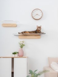 Oblong 35 in. Clear Acrylic Floating Cat Shelf