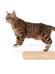 Oblong 35 in. Clear Acrylic Floating Cat Shelf - Clear, Oak