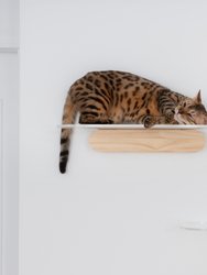 Oblong 35 in. Clear Acrylic Floating Cat Shelf