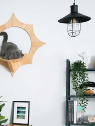 Solar: Wall Mounted Cat Shelves