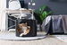 Spaceship Gamma : Wall Mounted Cat Bed Open on the Right-Black