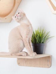 Wall Mounted Cat Shelves - Lack (M, 2PCS)