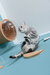 Wall Mounted Cat Shelves With Transparent Board - Round Lack Clear